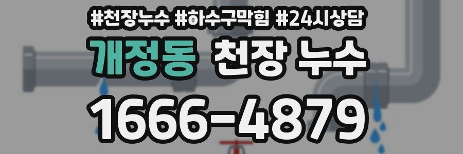 개정동 천장 누수