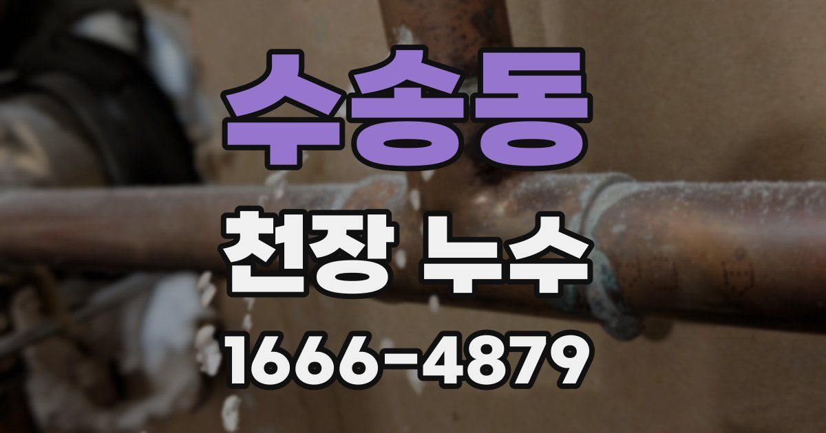 수송동 천장 누수