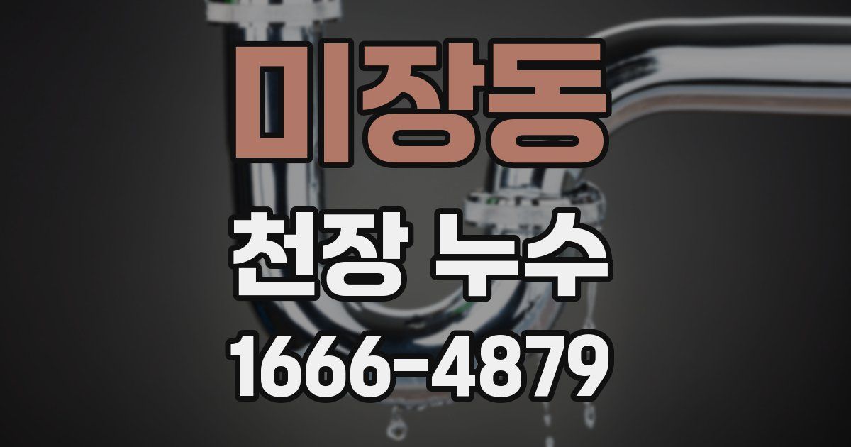 미장동 천장 누수