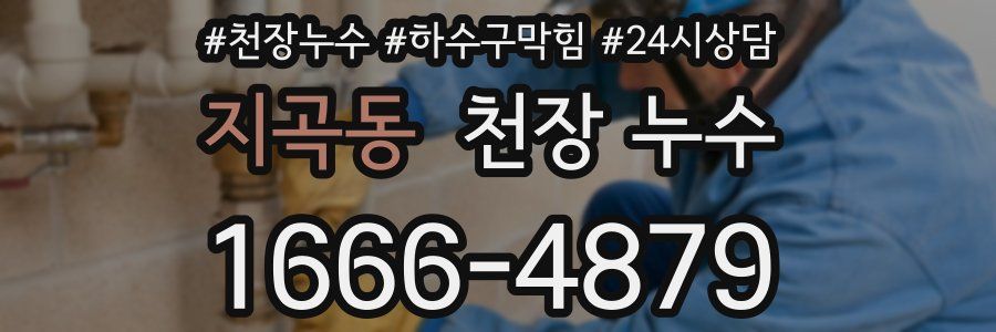 지곡동 천장 누수