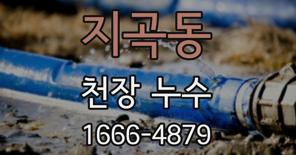 지곡동 천장 누수