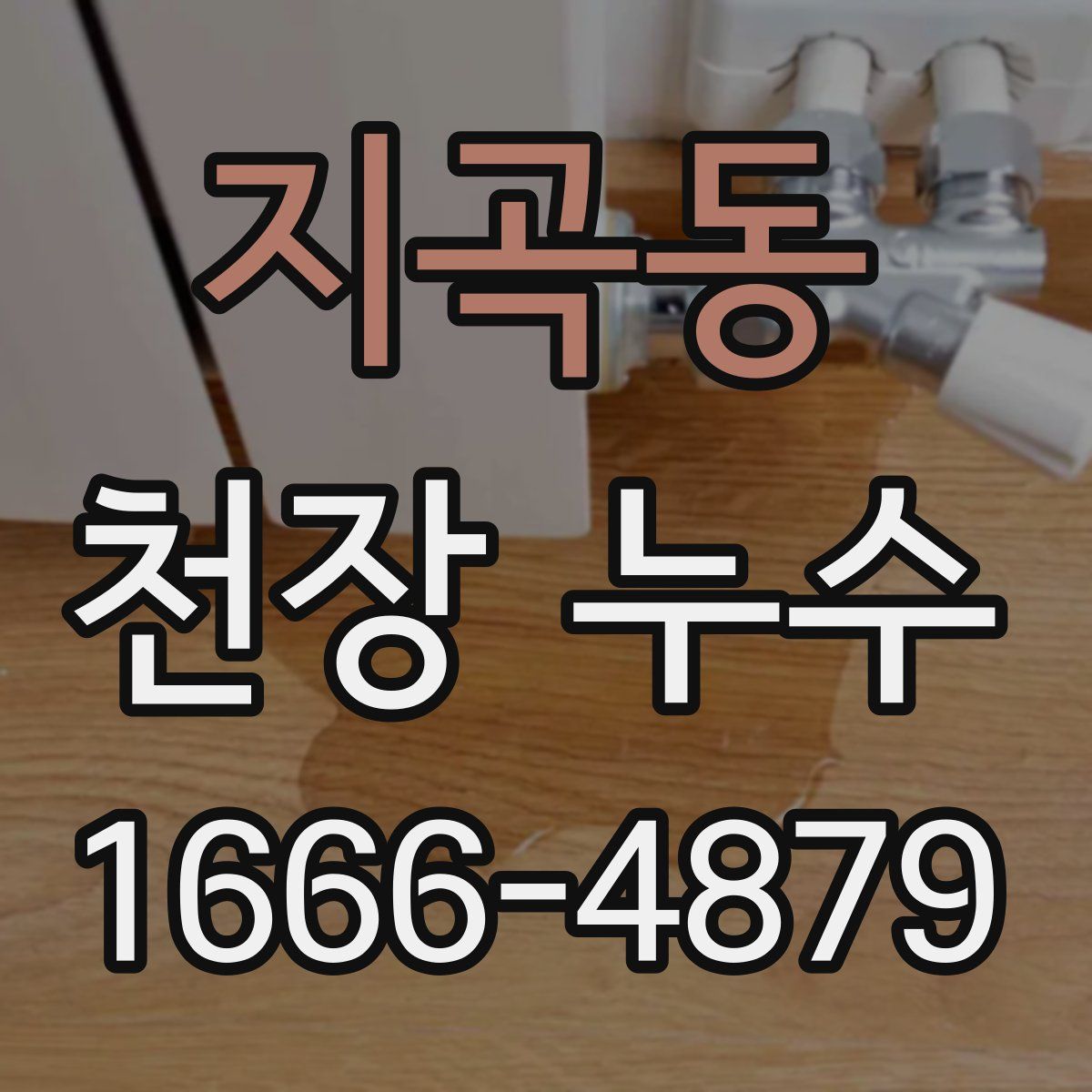 지곡동 천장 누수