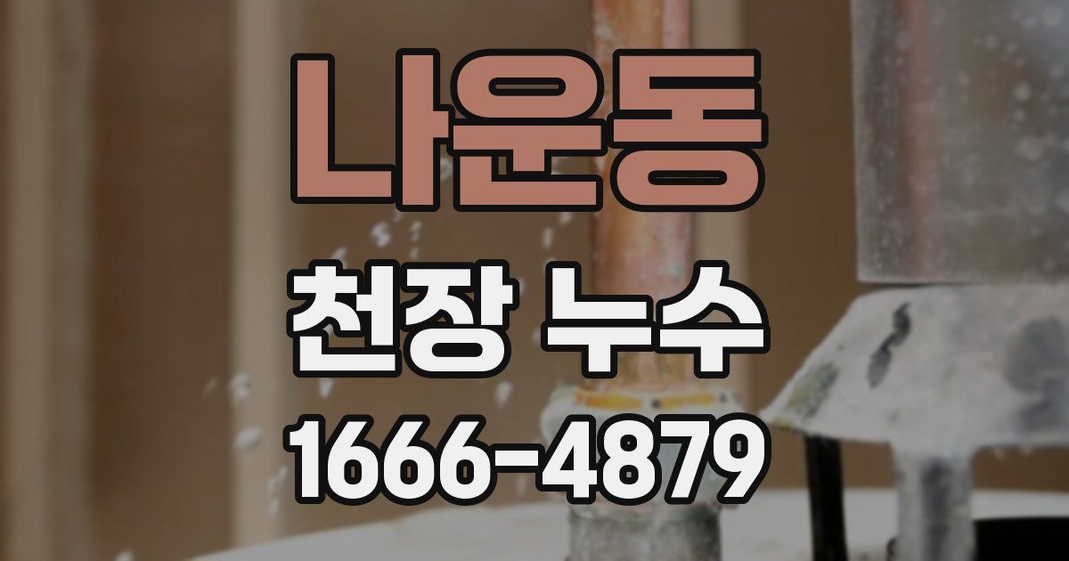 나운동 천장 누수