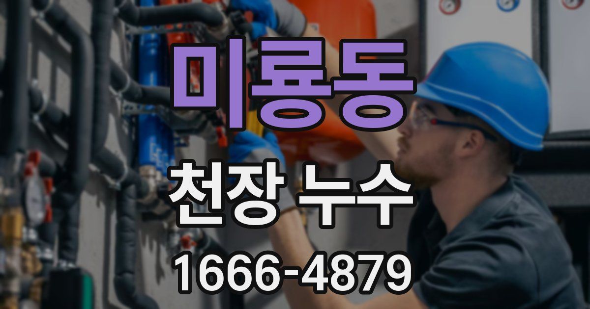 미룡동 천장 누수