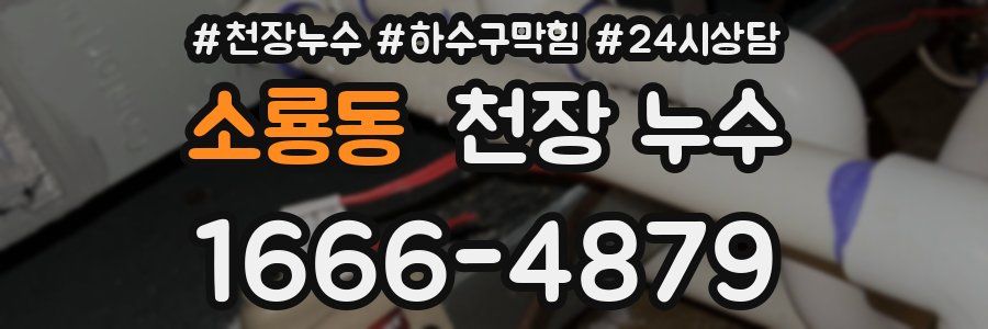 소룡동 천장 누수