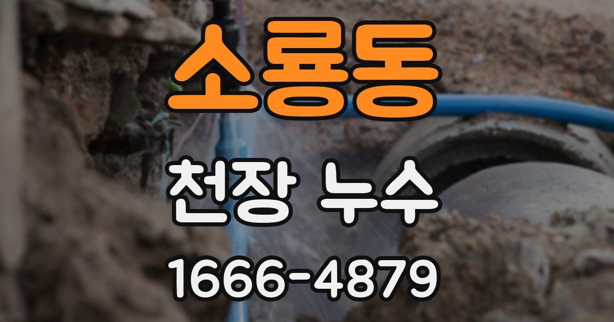 소룡동 천장 누수