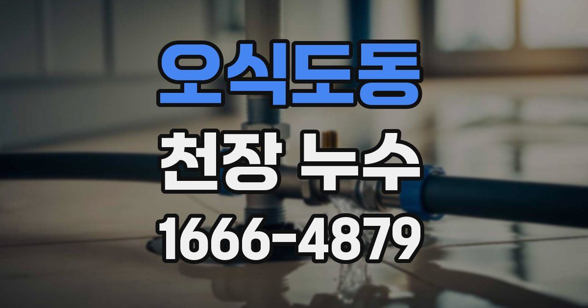오식도동 천장 누수