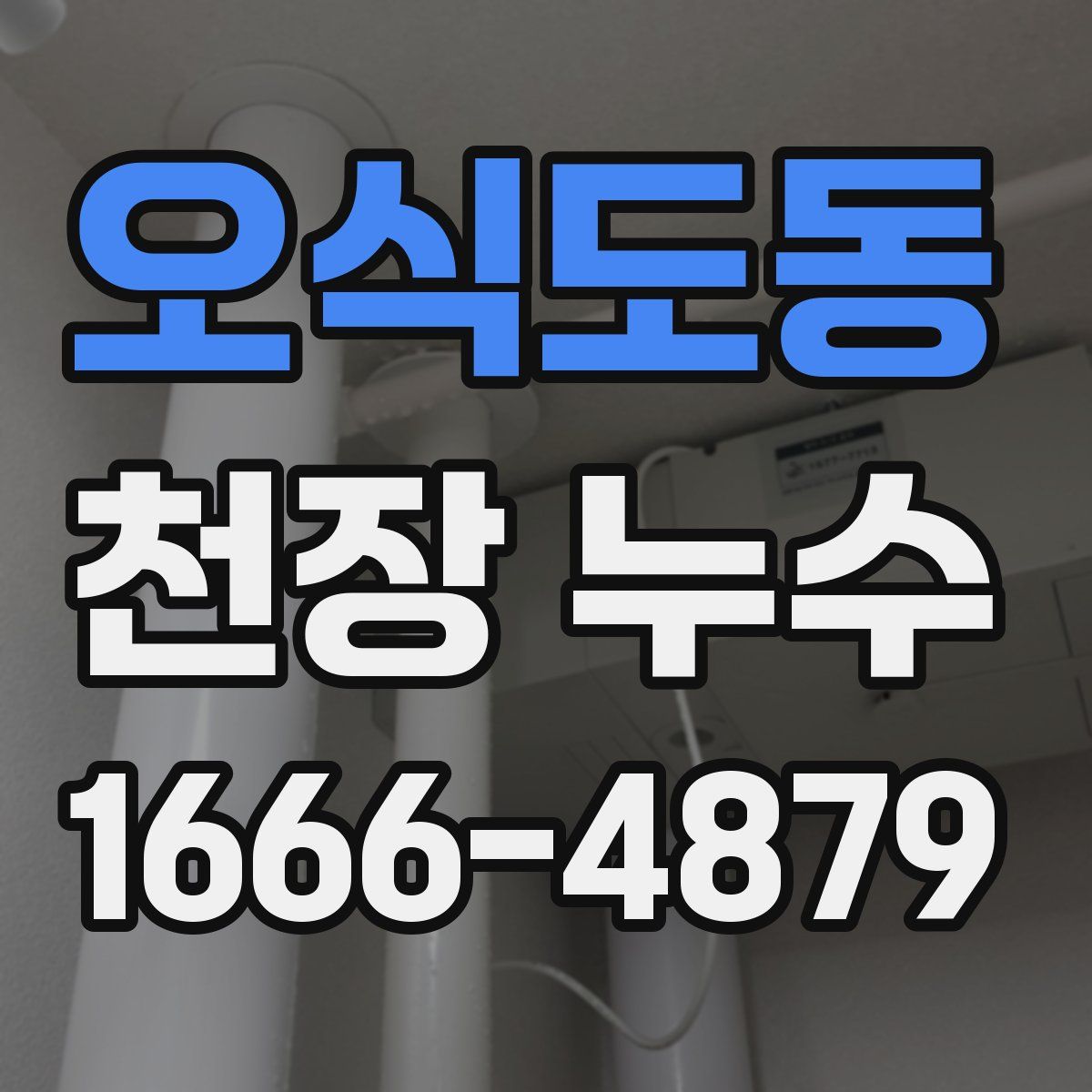 오식도동 천장 누수