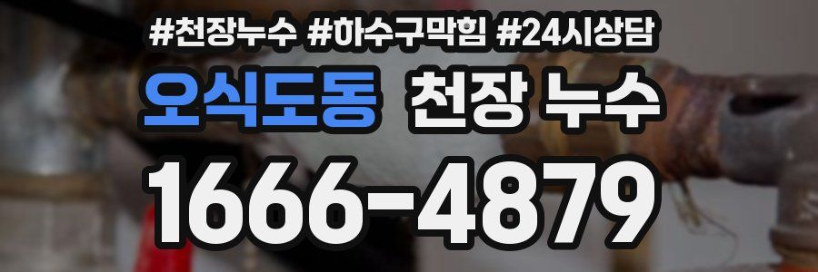 오식도동 천장 누수