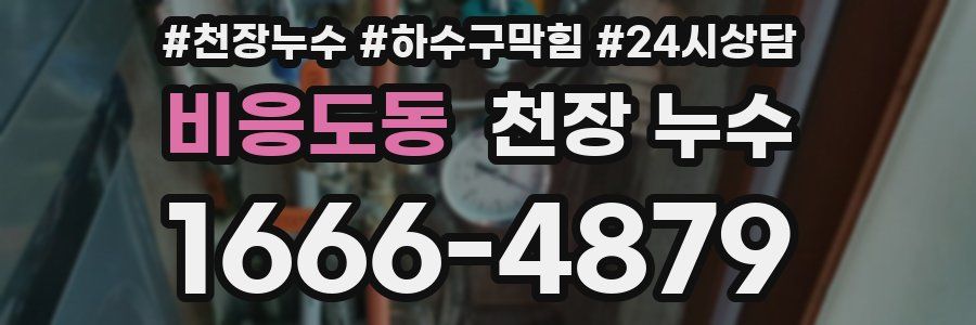 비응도동 천장 누수