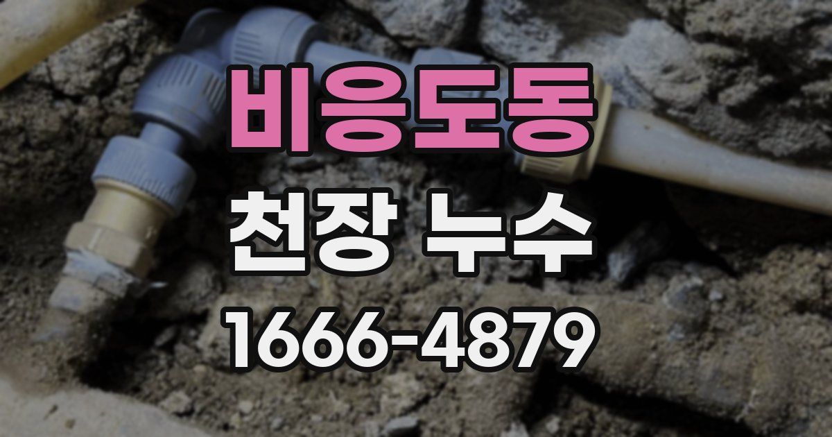 비응도동 천장 누수