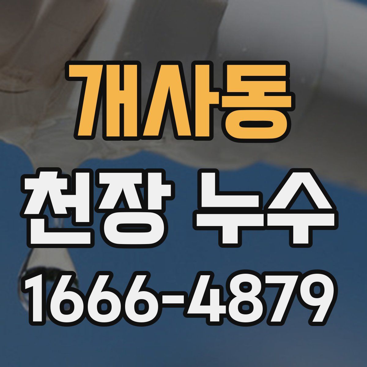 개사동 천장 누수