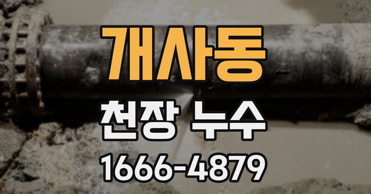개사동 천장 누수