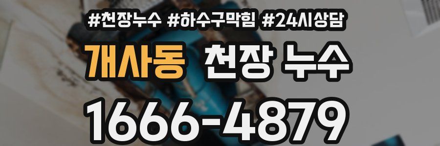 개사동 천장 누수