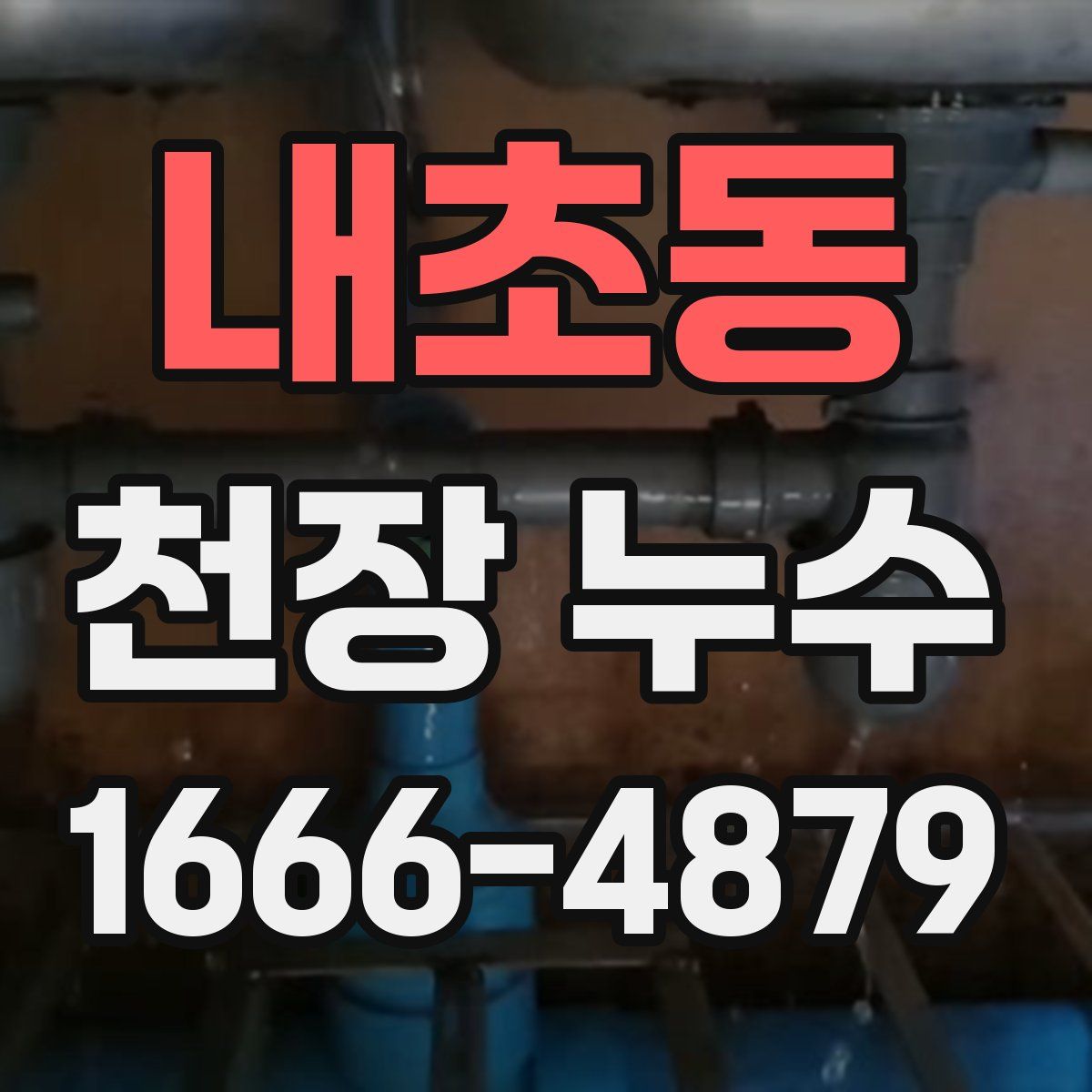 내초동 천장 누수