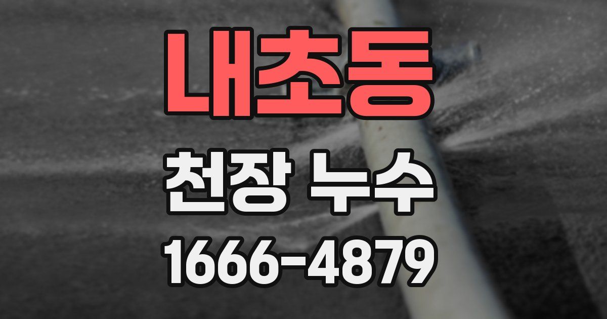 내초동 천장 누수