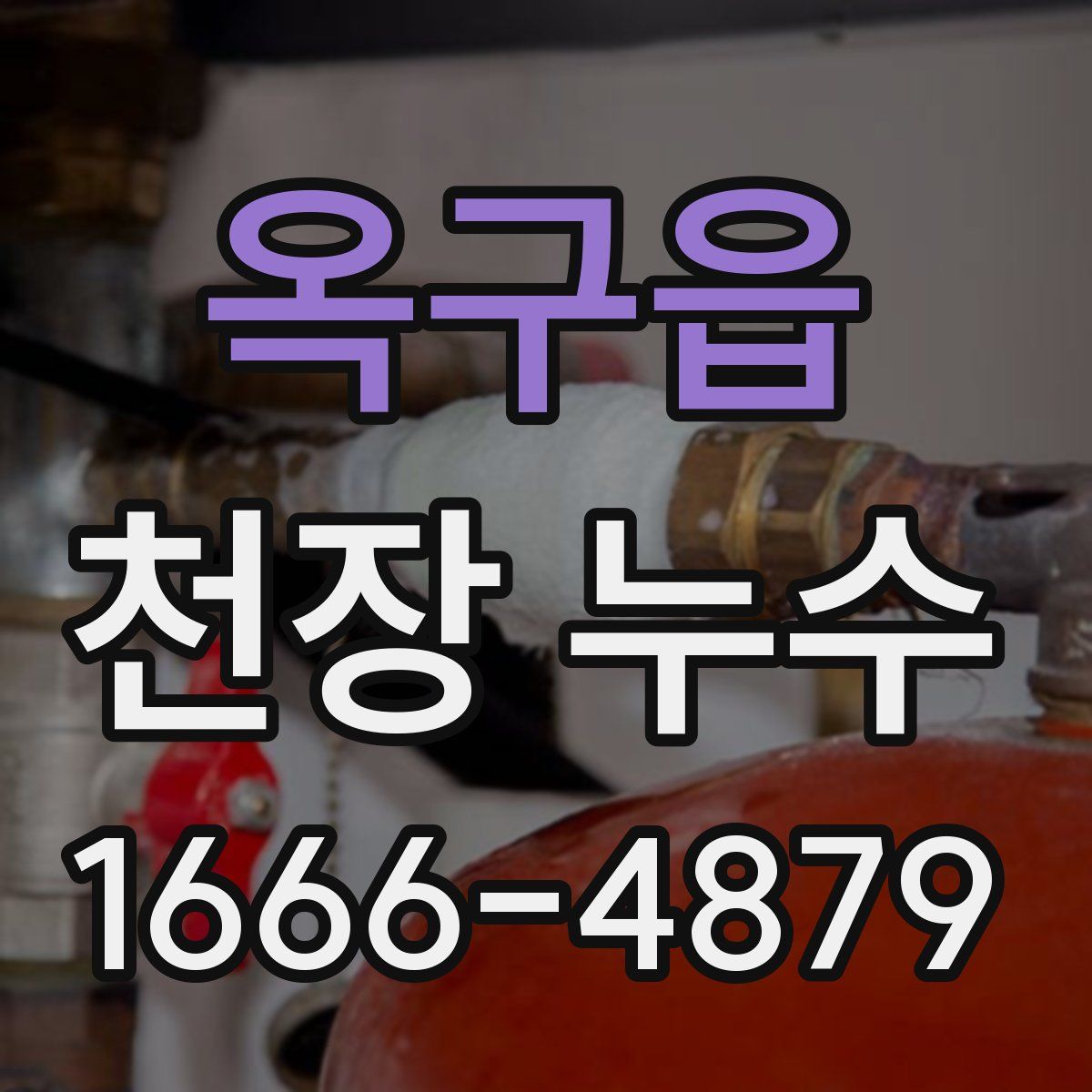 옥구읍 천장 누수