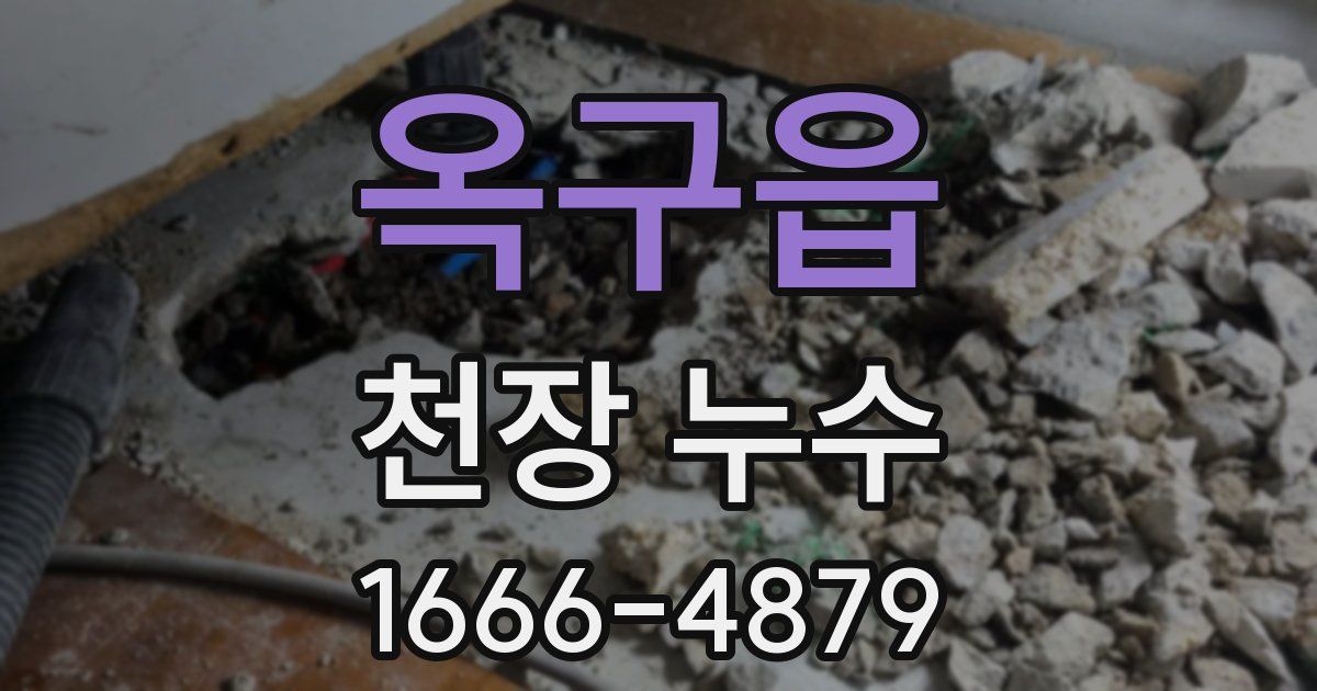 옥구읍 천장 누수