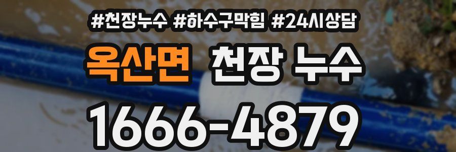 옥산면 천장 누수