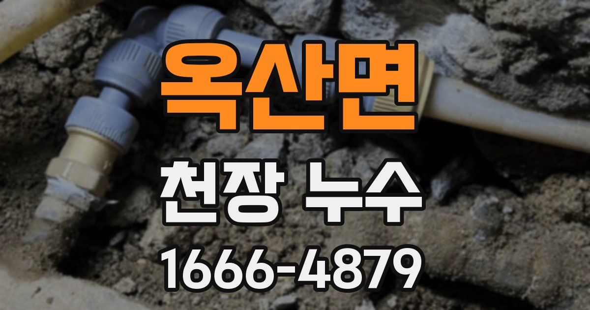 옥산면 천장 누수