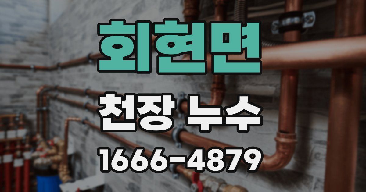 회현면 천장 누수