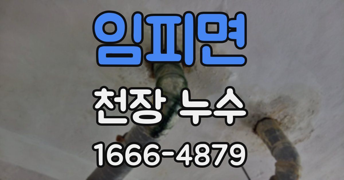 임피면 천장 누수