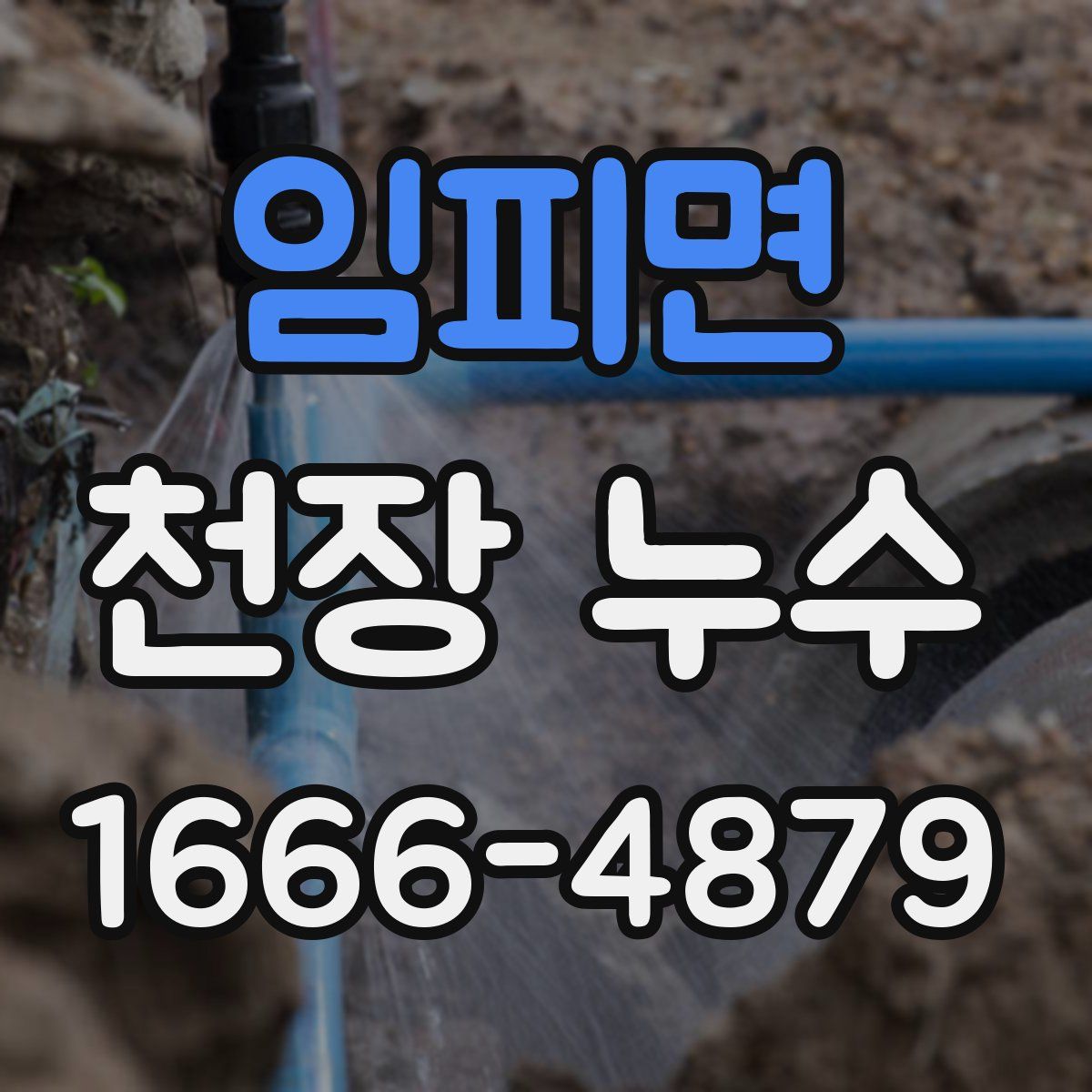 임피면 천장 누수