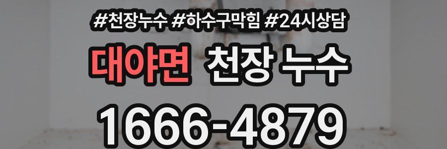 대야면 천장 누수