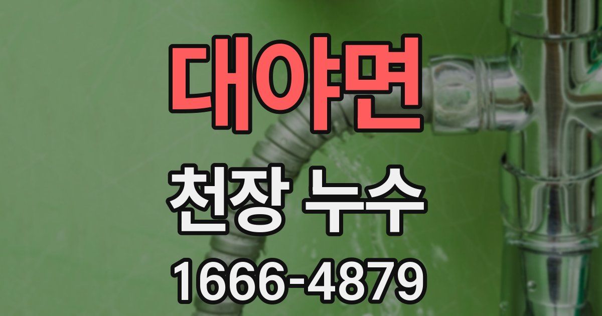 대야면 천장 누수