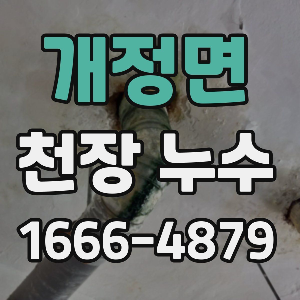 개정면 천장 누수