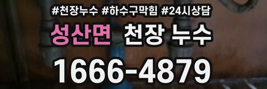 성산면 천장 누수