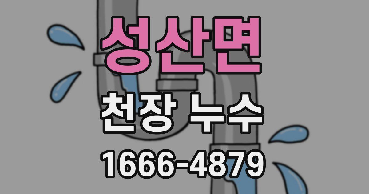 성산면 천장 누수