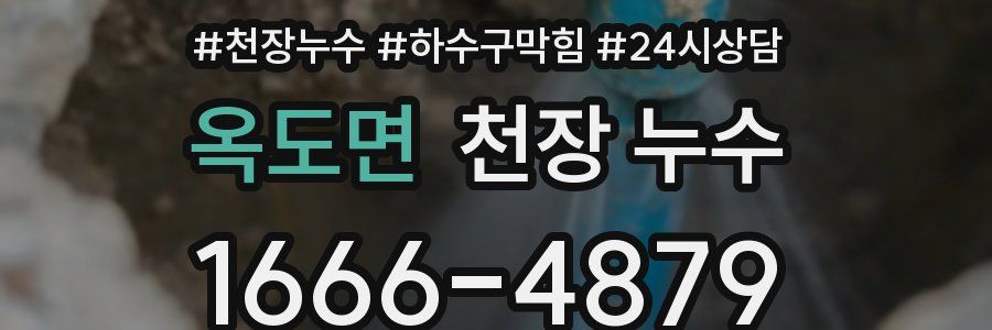 옥도면 천장 누수