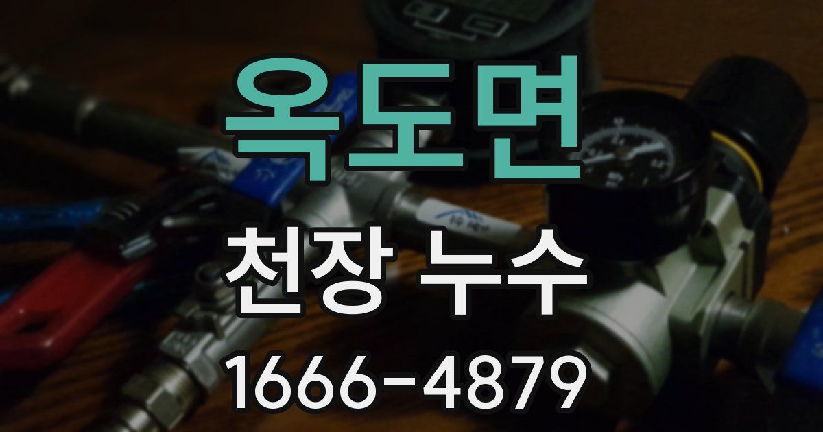 옥도면 천장 누수