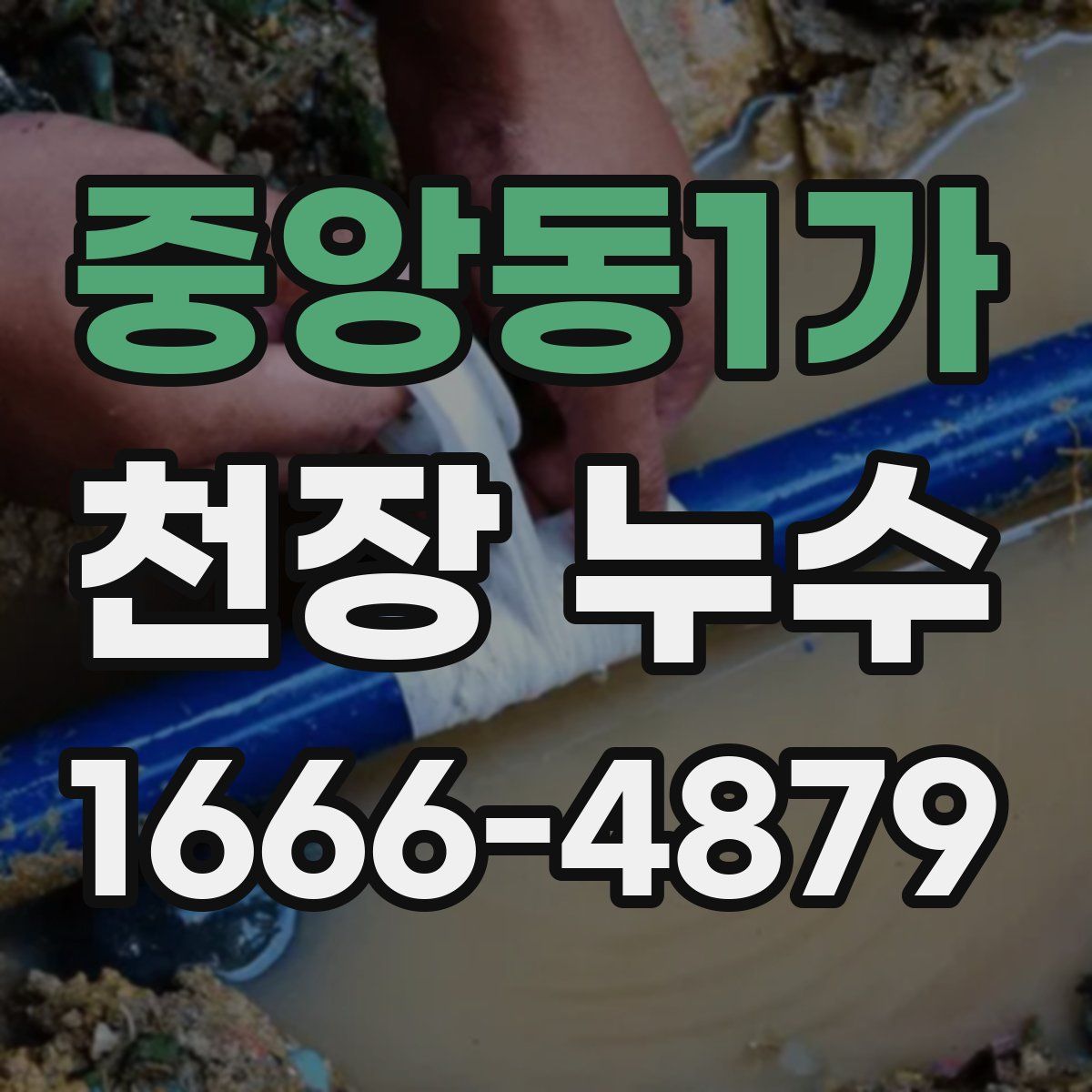 중앙동1가 천장 누수