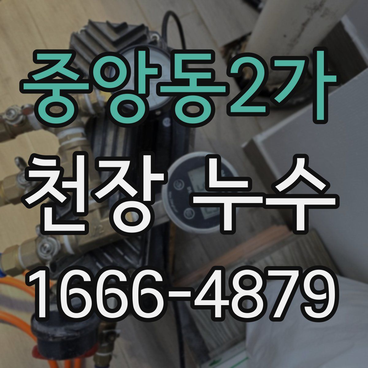 중앙동2가 천장 누수