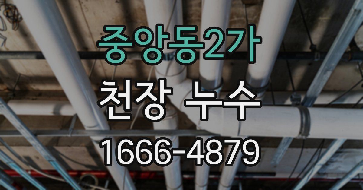 중앙동2가 천장 누수