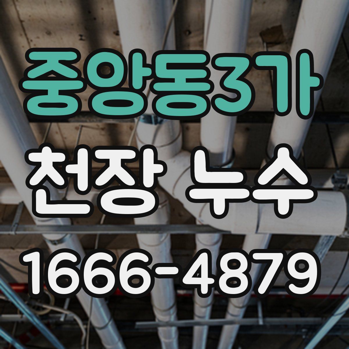 중앙동3가 천장 누수