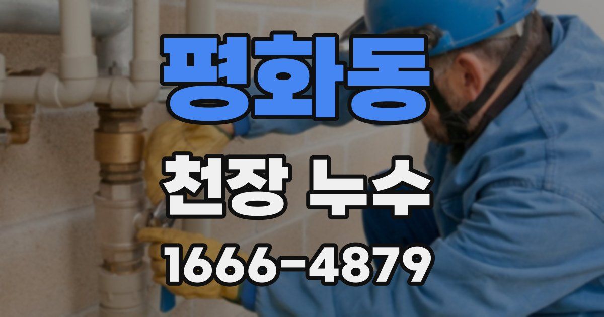 평화동 천장 누수