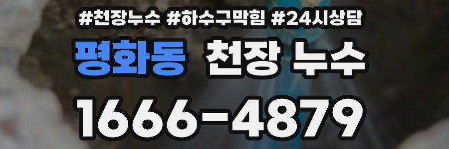 평화동 천장 누수