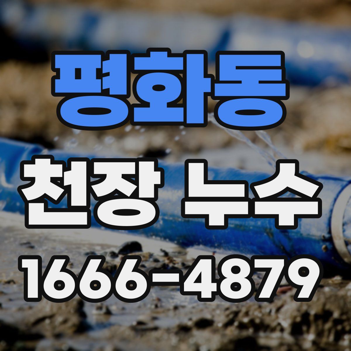 평화동 천장 누수