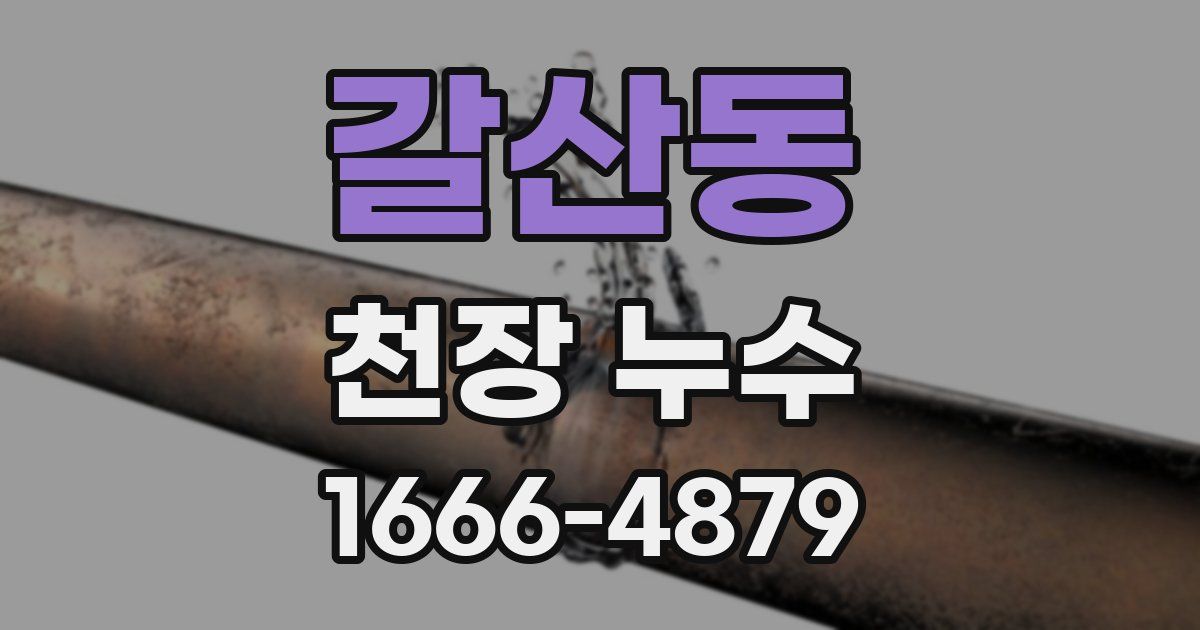 갈산동 천장 누수