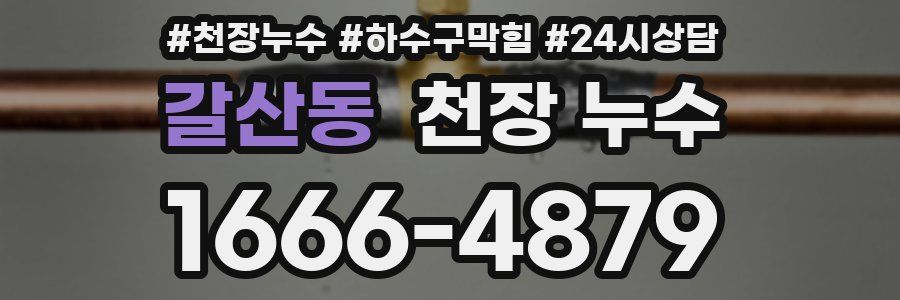 갈산동 천장 누수