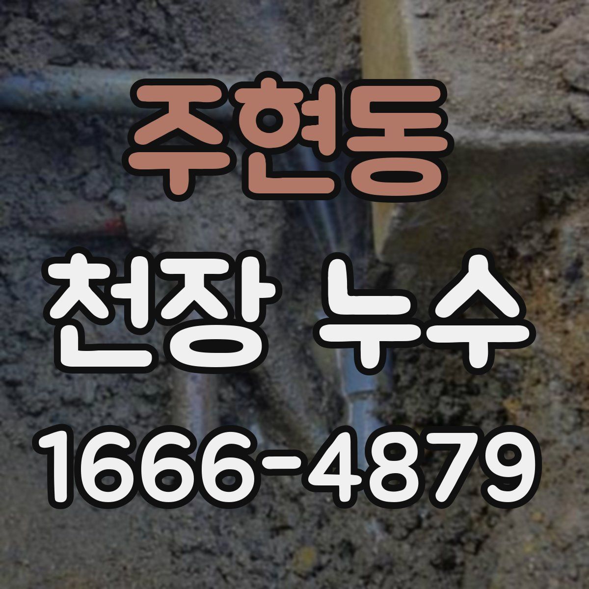 주현동 천장 누수