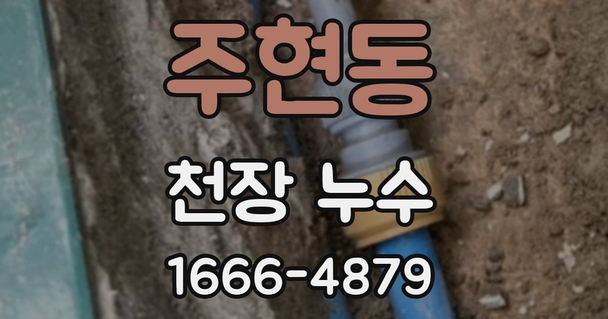 주현동 천장 누수