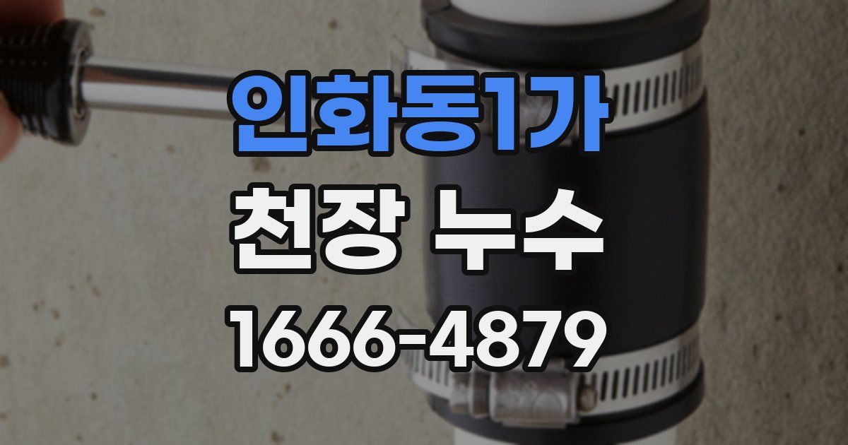 인화동1가 천장 누수