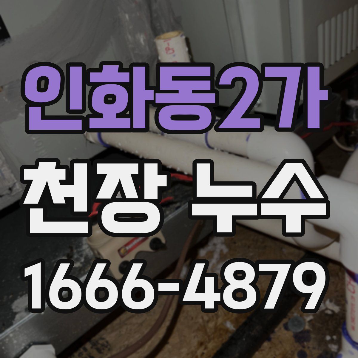 인화동2가 천장 누수