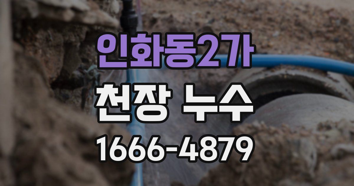 인화동2가 천장 누수