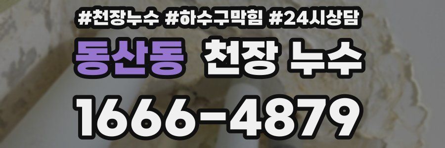 동산동 천장 누수