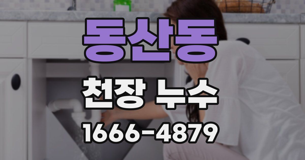 동산동 천장 누수